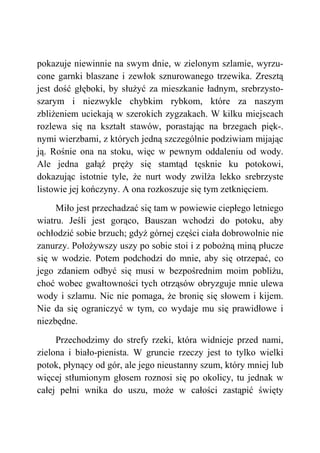 pokazuje niewinnie na swym dnie, w zielonym szlamie, wyrzu-
cone garnki blaszane i zewłok sznurowanego trzewika. Zresztą
jest dość głęboki, by służyć za mieszkanie ładnym, srebrzysto-
szarym i niezwykle chybkim rybkom, które za naszym
zbliżeniem uciekają w szerokich zygzakach. W kilku miejscach
rozlewa się na kształt stawów, porastając na brzegach pięk-.
nymi wierzbami, z których jedną szczególnie podziwiam mijając
ją. Rośnie ona na stoku, więc w pewnym oddaleniu od wody.
Ale jedna gałąź pręży się stamtąd tęsknie ku potokowi,
dokazując istotnie tyle, że nurt wody zwilża lekko srebrzyste
listowie jej kończyny. A ona rozkoszuje się tym zetknięciem.
Miło jest przechadzać się tam w powiewie ciepłego letniego
wiatru. Jeśli jest gorąco, Bauszan wchodzi do potoku, aby
ochłodzić sobie brzuch; gdyż górnej części ciała dobrowolnie nie
zanurzy. Położywszy uszy po sobie stoi i z pobożną miną płucze
się w wodzie. Potem podchodzi do mnie, aby się otrzepać, co
jego zdaniem odbyć się musi w bezpośrednim moim pobliżu,
choć wobec gwałtowności tych otrząsów obryzguje mnie ulewa
wody i szlamu. Nic nie pomaga, że bronię się słowem i kijem.
Nie da się ograniczyć w tym, co wydaje mu się prawidłowe i
niezbędne.
Przechodzimy do strefy rzeki, która widnieje przed nami,
zielona i biało-pienista. W gruncie rzeczy jest to tylko wielki
potok, płynący od gór, ale jego nieustanny szum, który mniej lub
więcej stłumionym głosem roznosi się po okolicy, tu jednak w
całej pełni wnika do uszu, może w całości zastąpić święty
 
