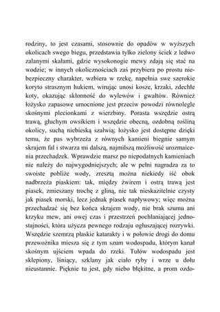 rodziny, to jest czasami, stosownie do opadów w wyższych
okolicach swego biegu, przedstawia tylko zielony ściek z ledwo
zalanymi skałami, gdzie wysokonogie mewy zdają się stać na
wodzie; w innych okolicznościach zaś przybiera po prostu nie-
bezpieczny charakter, wzbiera w rzekę, napełnia swe szerokie
koryto strasznym hukiem, wirując unosi kosze, krzaki, zdechłe
koty, okazując skłonność do wylewów i gwałtów. Również
łożysko zapasowe umocnione jest przeciw powodzi równolegle
skośnymi plecionkami z wierzbiny. Porasta wszędzie ostrą
trawą, głuchym owsikiem i wszędzie obecną, ozdobną rośliną
okolicy, suchą niebieską szałwią; łożysko jest dostępne dzięki
temu, że pas wybrzeża z równych kamieni biegnie samym
skrajem fal i stwarza mi dalszą, najmilszą możliwość urozmaice-
nia przechadzek. Wprawdzie marsz po niepodatnych kamieniach
nie należy do najwygodniejszych; ale w pełni nagradza za to
swoiste pobliże wody, zresztą można niekiedy iść obok
nadbrzeża piaskiem: tak, między żwirem i ostrą trawą jest
piasek, zmieszany trochę z gliną, nie tak nieskazitelnie czysty
jak piasek morski, lecz jednak piasek napływowy; więc można
przechadzać się bez końca skrajem wody, nie brak szumu ani
krzyku mew, ani owej czas i przestrzeń pochłaniającej jedno-
stajności, która użycza pewnego rodzaju ogłuszającej rozrywki.
Wszędzie szemrzą płaskie katarakty i w połowie drogi do domu
przewoźnika miesza się z tym szum wodospadu, którym kanał
skośnym ujściem wpada do rzeki. Tułów wodospadu jest
sklepiony, lśniący, szklany jak ciało ryby i wrze u dołu
nieustannie. Pięknie tu jest, gdy niebo błękitne, a prom ozdo-
 