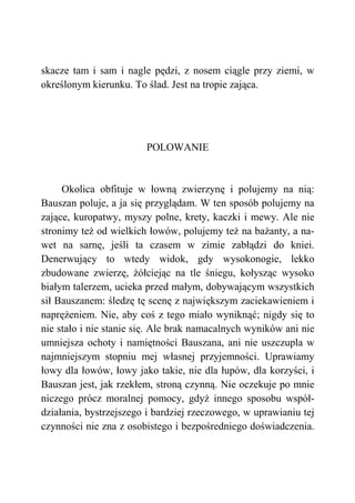 skacze tam i sam i nagle pędzi, z nosem ciągle przy ziemi, w
określonym kierunku. To ślad. Jest na tropie zająca.
POLOWANIE
Okolica obfituje w łowną zwierzynę i polujemy na nią:
Bauszan poluje, a ja się przyglądam. W ten sposób polujemy na
zające, kuropatwy, myszy polne, krety, kaczki i mewy. Ale nie
stronimy też od wielkich łowów, polujemy też na bażanty, a na-
wet na sarnę, jeśli ta czasem w zimie zabłądzi do kniei.
Denerwujący to wtedy widok, gdy wysokonogie, lekko
zbudowane zwierzę, żółciejąc na tle śniegu, kołysząc wysoko
białym talerzem, ucieka przed małym, dobywającym wszystkich
sił Bauszanem: śledzę tę scenę z największym zaciekawieniem i
naprężeniem. Nie, aby coś z tego miało wyniknąć; nigdy się to
nie stało i nie stanie się. Ale brak namacalnych wyników ani nie
umniejsza ochoty i namiętności Bauszana, ani nie uszczupla w
najmniejszym stopniu mej własnej przyjemności. Uprawiamy
łowy dla łowów, łowy jako takie, nie dla łupów, dla korzyści, i
Bauszan jest, jak rzekłem, stroną czynną. Nie oczekuje po mnie
niczego prócz moralnej pomocy, gdyż innego sposobu współ-
działania, bystrzejszego i bardziej rzeczowego, w uprawianiu tej
czynności nie zna z osobistego i bezpośredniego doświadczenia.
 