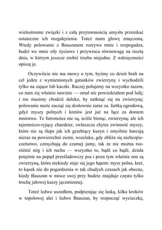 wielostronne związki i z całą przytomnością umysłu przenikać
ostateczne ich rozgałęzienia. Toteż mam głowę zmęczoną.
Wtedy polowanie z Bauszanem rozrywa mnie i rozpogadza,
budzi we mnie siły życiowe i przywraca równowagę na resztę
dnia, w którym jeszcze zrobić trzeba niejedno. Z wdzięczności
opiszę je.
Oczywiście nie ma mowy o tym, byśmy co dzień brali na
cel jeden z wymienionych gatunków zwierzyny i wychodzili
tylko na zające lub kaczki. Raczej polujemy na wszystko razem,
co nam się właśnie nawinie — omal nie powiedziałem pod lufę;
i nie musimy chodzić daleko, by natknąć się na zwierzynę;
polowanie może zacząć się dosłownie zaraz za. furtką ogrodową,
gdyż myszy polnych i kretów jest już na łące za domem
mnóstwo. Te futronośce nie są, ściśle biorąc, zwierzyną; ale ich
tajemniczo-ryjący charakter, zwłaszcza chytra zwinność myszy,
które nie są ślepe jak ich grzebiący kuzyn i zmyślnie harcują
nieraz na powierzchni ziemi, wszelako, gdy zbliża się niebezpie-
czeństwo, czmychają do czarnej jamy, tak że nie można roz-
różnić nóg i ich ruchu — wszystko to, bądź co bądź, działa
potężnie na popęd prześladowczy psa i poza tym właśnie one są
zwierzyną, która niekiedy staje się jego łupem: mysz polna, kret,
to kąsek nie do pogardzenia w tak chudych czasach jak obecne,
kiedy Bauszan w misce swej przy budzie znajduje często tylko
trochę jałowej kaszy jęczmiennej.
Toteż ledwo uszedłem, podpierając się laską, kilka kroków
w topolowej alei i ledwo Bauszan, by rozpocząć wycieczkę,
 