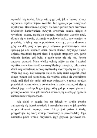 wyszalał się trochę, kiedy widzę go już, jak z prawej strony
wyprawia najdziwniejsze koziołki. Już ogarnęła go namiętność
myśliwska, Bauszan nie słyszy i nie widzi już nic poza drażniąco
kryjomym harcowaniem żywych stworzeń dokoła niego: z
wytężoną uwagą, machając ogonem, podnosząc wysoko nogi,
skrada się w trawie, przystaje w połowie kroku, zawieszając to
przednią, to tylną nogę w powietrzu, wietrząc, patrzy skosem z
góry na dół, przy czym płaty sztywnie podniesionych uszu
spadają po obu stronach oczu, potem skacze, dotykając nieraz
obiema przednimi łapami ziemi i spogląda stropiony tam, gdzie
właśnie dopiero coś było, a gdzie teraz nic nie ma. Potem
zaczyna grzebać. Mam wielką ochotę pójść za nim i czekać
wyniku; ale w ten sposób nie ruszylibyśmy z miejsca, całą na ten
dzień nagromadzoną ochotę myśliwską wyczerpałby na tej łące.
Więc idę dalej, nie troszcząc się o to, żeby mnie dogonił, choć
długo jeszcze stoi na miejscu, nie widząc, dokąd się zwróciłem:
czuje mój ślad nie mniej niż trop zwierzyny, z głową między
przednimi łapami wietrzy go utraciwszy mnie z oczu, już słyszę
dźwięk jego marki policyjnej, jego silny galop za mymi plecami:
przemyka obok mnie jak strza3a i zawraca, by machając ogonem
zameldować swą obecność.
Ale dalej w zagaju lub na łąkach w strefie potoku
zatrzymuję się jednak niekiedy i przyglądam mu się, jak grzebie
w poszukiwaniu myszy, nawet kiedy jest późno i kiedy,
przypatrując się, tracę czas przeznaczony na przechadzkę. Jego
namiętna praca wprost przykuwa, jego głęboka gorliwość za-
 