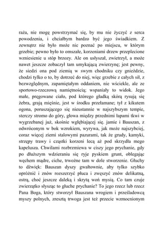 raża, nie mogę powstrzymać się, by mu nie życzyć z serca
powodzenia, i chciałbym bardzo być jego świadkiem. Z
zewnątrz nie było może nic poznać po miejscu, w którym
grzebie; pewno było to omszałe, korzeniami drzew przeplecione
wzniesienie u stóp brzozy. Ale on usłyszał, zwietrzył, a może
nawet jeszcze zobaczył tam umykającą zwierzynę; jest pewny,
że siedzi ona pod ziemią w swym chodniku czy gnieździe,
chodzi tylko o to, by dotrzeć do niej, więc grzebie z całych sił, z
bezwzględnym, zapamiętałym oddaniem, nie wściekle, ale ze
sportowo-rzeczową namiętnością; wspaniały to widok. Jego
małe, pręgowane ciało, pod którego gładką skórą rysują się
żebra, grają mięśnie, jest w środku przełamane; tył z kikutem
ogona, poruszającego się nieustannie w najszybszym tempie,
sterczy stromo do góry, głowa między przednimi łapami tkwi w
wygrzebanej już, skośnie wgłębiającej się. jamie i Bauszan, z
odwróconym w bok wzrokiem, wyrywa, jak może najszybciej,
coraz więcej ziemi stalowymi pazurami, tak że grudy, kamyki,
strzępy trawy i cząstki korzeni lecą aż pod skrzydła mego
kapelusza. Chwilami rozbrzmiewa w ciszy jego prychanie, gdy
po dłuższym wdzieraniu się ryje pyskiem grunt, oblegając
węchem mądre, ciche, trwożne tam w dole stworzenie. Głuchy
to dźwięk: Bauszan dyszy gwałtownie, aby tylko szybko
opróżnić i znów rozszerzyć płuca i zwęszyć znów delikatną,
ostrą, choć jeszcze daleką i skrytą woń mysią. Co tam czuje
zwierzątko słysząc to głuche prychanie? To jego rzecz lub rzecz
Pana Boga, który stworzył Bauszana wrogiem i prześladowcą
myszy polnych, zresztą trwoga jest też przecie wzmocnionym
 