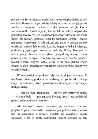 poczuciem życia: myszka nudziłaby się prawdopodobnie, gdyby
nie było Bauszana: i po cóż istniałaby w takim razie jej perło-
wooka roztropność i zwinna sztuka górnicza, dzięki której
warunki walki wyrównują się hojnie, tak że sukces napastnika
pozostaje zawsze wielce nieprawdopodobny? Słowem, nie mam
litości dla myszy, duchowo stoję po Bauszana stronie i często
nie mogę wytrzymać w roli widza: gdy staje w drodze mocno
osadzony kamień lub twardy korzeń, ingeruję laską i wiercąc,
podważając, pomagam usunąć przeszkodę. Wtedy Bauszan, w
trakcie pracy, obrzuca mnie szybkim, gorączkowym spojrzeniem
porozumienia. Pełnymi szczękami wgryza się w twardą, poprze-
rastałą ziemię, odrywa skiby, ciska je na bok, parska znów
głucho w głąb i podniecony zapachem wprawia znów pazury we
wściekły ruch...
W większości wypadków cały ten trud jest daremny. Z
uwalanym ziemią pyskiem, zabrudzony aż po łopatki, obwą-
chuje Bauszan raz jeszcze powierzchownie miejsce i porzuca je
drałując dalej.
— Nic nie było, Bauszanie — mówię, gdy patrzy na mnie.
— Nic nie było — powtarzam, kiwając gwoli zrozumiałości
głową, podnoszę brwi i ramiona.
Ale nie trzeba wcale pocieszać go, niepowodzenie nie
przytłacza go ani na chwilę. Polowanie jest polowaniem, pieczeń
nie ma znaczenia, a przecie wysiłek był wspaniały, myśli
Bauszan, o ile w ogóle wspomina jeszcze dopiero co tak
 