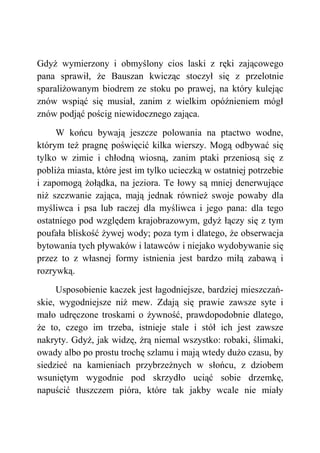 Gdyż wymierzony i obmyślony cios laski z ręki zającowego
pana sprawił, że Bauszan kwicząc stoczył się z przelotnie
sparaliżowanym biodrem ze stoku po prawej, na który kulejąc
znów wspiąć się musiał, zanim z wielkim opóźnieniem mógł
znów podjąć pościg niewidocznego zająca.
W końcu bywają jeszcze polowania na ptactwo wodne,
którym też pragnę poświęcić kilka wierszy. Mogą odbywać się
tylko w zimie i chłodną wiosną, zanim ptaki przeniosą się z
pobliża miasta, które jest im tylko ucieczką w ostatniej potrzebie
i zapomogą żołądka, na jeziora. Te łowy są mniej denerwujące
niż szczwanie zająca, mają jednak również swoje powaby dla
myśliwca i psa lub raczej dla myśliwca i jego pana: dla tego
ostatniego pod względem krajobrazowym, gdyż łączy się z tym
poufała bliskość żywej wody; poza tym i dlatego, że obserwacja
bytowania tych pływaków i latawców i niejako wydobywanie się
przez to z własnej formy istnienia jest bardzo miłą zabawą i
rozrywką.
Usposobienie kaczek jest łagodniejsze, bardziej mieszczań-
skie, wygodniejsze niż mew. Zdają się prawie zawsze syte i
mało udręczone troskami o żywność, prawdopodobnie dlatego,
że to, czego im trzeba, istnieje stale i stół ich jest zawsze
nakryty. Gdyż, jak widzę, żrą niemal wszystko: robaki, ślimaki,
owady albo po prostu trochę szlamu i mają wtedy dużo czasu, by
siedzieć na kamieniach przybrzeżnych w słońcu, z dziobem
wsuniętym wygodnie pod skrzydło uciąć sobie drzemkę,
napuścić tłuszczem pióra, które tak jakby wcale nie miały
 