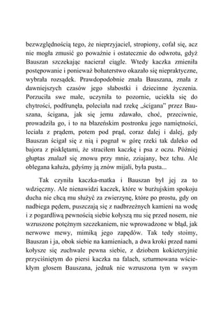 bezwzględnością tego, że nieprzyjaciel, stropiony, cofał się, acz
nie mogła zmusić go poważnie i ostatecznie do odwrotu, gdyż
Bauszan szczekając nacierał ciągle. Wtedy kaczka zmieniła
postępowanie i ponieważ bohaterstwo okazało się niepraktyczne,
wybrała rozsądek. Prawdopodobnie znała Bauszana, znała z
dawniejszych czasów jego słabostki i dziecinne życzenia.
Porzuciła swe małe, uczyniła to pozornie, uciekła się do
chytrości, podfrunęła, poleciała nad rzekę „ścigana” przez Bau-
szana, ścigana, jak się jemu zdawało, choć, przeciwnie,
prowadziła go, i to na błazeńskim postronku jego namiętności,
leciała z prądem, potem pod prąd, coraz dalej i dalej, gdy
Bauszan ścigał się z nią i pognał w górę rzeki tak daleko od
bajora z pisklętami, że straciłem kaczkę i psa z oczu. Później
głuptas znalazł się znowu przy mnie, zziajany, bez tchu. Ale
oblegana kałuża, gdyśmy ją znów mijali, była pusta...
Tak czyniła kaczka-matka i Bauszan był jej za to
wdzięczny. Ale nienawidzi kaczek, które w burżujskim spokoju
ducha nie chcą mu służyć za zwierzynę, które po prostu, gdy on
nadbiega pędem, puszczają się z nadbrzeżnych kamieni na wodę
i z pogardliwą pewnością siebie kołyszą mu się przed nosem, nie
wzruszone potężnym szczekaniem, nie wprowadzone w błąd, jak
nerwowe mewy, mimiką jego zapędów. Tak tedy stoimy,
Bauszan i ja, obok siebie na kamieniach, a dwa kroki przed nami
kołysze się zuchwale pewna siebie, z dziobem kokieteryjnie
przyciśniętym do piersi kaczka na falach, szturmowana wście-
kłym głosem Bauszana, jednak nie wzruszona tym w swym
 