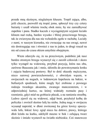 przede mną skośnym, nieglaźnym kłusem. Tropił zająca, albo,
jeśli chcecie, pozwolił się tropić jemu, spłoszył trzy czy cztery
bażanty i szedł właśnie trochę obok mnie, by nie zaniedbywać
zupełnie i pana. Stadko kaczek z wyciągniętymi szyjami leciało
klinem nad rzeką, bardzo wysoko i bliżej przeciwnego brzegu,
tak że zwierzyna dla nas nie wchodziła zgoła w rachubę. Leciały
z nami, w naszym kierunku, nie zwracając na nas uwagi, nawet
nie dostrzegając nas i również z nas to jeden, to drugi rzucał na
nie od czasu do czasu okiem umyślnie obojętnym.
Wtem zdarzyło się, że na przeciwnym, podobnie jak nasz
bardzo stromym brzegu wynurzył się z zarośli człowiek i skoro
tylko wystąpił na widownię, przybrał pozycję, która nas obu,
zarówno Bauszana jak i mnie, skłoniła do powstrzymania kroku
i zajęcia badawczej postawy. Był to dość okazały mężczyzna,
nieco surowej powierzchowności, z obwisłym wąsem, w
owijaczach na nogach, w lodenowym kapeluszu na bakier, w
bufiastych spodniach, które mogły być zrobione z pewnego
rodzaju twardego aksamitu, zwanego manczesterem, i w
odpowiedniej kurtce, na której widniały rozmaite pasy i
rzemienie, gdyż miał na grzbiecie plecak, a na ramieniu strzelbę.
Ledwo zjawił się na widowni, zdjął broń, przyłożył kolbę do
policzka i zwrócił skośno lufę ku niebu. Jedną nogę w owijaczu
wysunął naprzód, w dłoni zwróconej ku górze lewicy spoczy-
wała lufa, łokieć lewy zgiął nieco ku dołowi, prawy, którego
dłoń leżała na kurku, odchylił mocno w bok i celującą twarz
skośnie i śmiało wystawił na światło niebieskie. Coś stanowczo
 