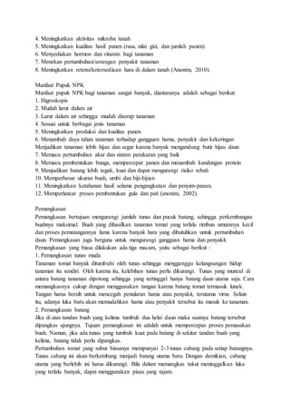 4. Meningkatkan aktivitas mikroba tanah
5. Meningkatkan kualitas hasil panen (rasa, nilai gizi, dan jumlah panen)
6. Menyediakan hormon dan vitamin bagi tanaman
7. Menekan pertumbuhan/serangan penyakit tanaman
8. Meningkatkan retensi/ketersediaan hara di dalam tanah (Anonim, 2010).
Manfaat Pupuk NPK
Manfaat pupuk NPK bagi tanaman sangat banyak, diantaranya adalah sebagai berikut:
1. Higroskopis
2. Mudah larut dalam air
3. Larut dalam air sehingga mudah diserap tanaman
4. Sesuai untuk berbagai jenis tanaman
5. Meningkatkan produksi dan kualitas panen
6. Menambah daya tahan tanaman terhadap gangguan hama, penyakit dan kekeringan
Menjadikan tanaman lebih hijau dan segar karena banyak mengandung butir hijau daun
7. Memacu pertumbuhan akar dan sistem perakaran yang baik
8. Memacu pembentukan bunga, mempercepat panen dan menambah kandungan protein
9. Menjadikan batang lebih tegak, kuat dan dapat mengurangi risiko rebah
10. Memperbesar ukuran buah, umbi dan biji-bijian
11. Meningkatkan ketahanan hasil selama pengangkutan dan penyim-panan.
12. Memperlancar proses pembentukan gula dan pati (anonim, 2002).
Pemangkasan
Pemangkasan bertujuan mengurangi jumlah tunas dan pucuk batang, sehingga perkembangan
buahnya maksimal. Buah yang dihasilkan tanaman tomat yang terlalu rimbun umumnya kecil
dan proses pematangannya lama karena banyak hara yang dibutuhkan untuk pertumbuhan
daun. Pemangkasan juga berguna untuk mengurangi gangguan hama dan penyakit.
Pemangkasan yang biasa dilakukan ada tiga macam, yaitu sebagai berikut :
1. Pemangkasan tunas muda
Tanaman tomat banyak ditumbuhi oleh tunas sehingga mengganggu kelangsungan hidup
tanaman itu sendiri. Oleh karena itu, kelebihan tunas perlu dikurangi. Tunas yang muncul di
antara batang tanaman dipotong sehingga yang tertinggal hanya batang daun utama saja. Cara
memangkasnya cukup dengan menggunakan tangan karena batang tomat termasuk lunak.
Tangan harus bersih untuk mencegah penularan hama atau penyakit, terutama virus. Selain
itu, adanya luka baru akan memudahkan hama atau penyakit tersebut itu masuk ke tanaman.
2. Pemangkasan batang
Jika di atas tandan buah yang kelima tumbuh dua helai daun maka saatnya batang tersebut
dipangkas ujungnya. Tujuan pemangkasan ini adalah untuk mempercepas proses pemasakan
buah. Namun, jika ada tunas yang tumbuh kuat pada batang di sekitar tandan buah yang
kelima, batang tidak perlu dipangkas.
Pertumbuhan tomat yang subur biasanya mempunyai 2-3 tunas cabang pada setiap batangnya.
Tunas cabang ini akan berkembang menjadi batang utama baru. Dengan demikian, cabang
utama yang berlebih ini harus dikurangi. Bila dalam memangkas takut meninggalkan luka
yang terlalu banyak, dapat menggunakan pisau yang tajam.
 