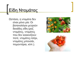 Είδη Ντομάτας Ωστόσο, η ντομάτα δεν είναι μόνο μία: Οι βοτανολόγοι μετρούν δεκάδες είδη (ροζ ντομάτες, ντομάτες που δεν κοκκινίζουν ποτέ, ντομάτες-τσέρι, ντομάτες μπονσάι, πομοντόρια, κλπ.).  