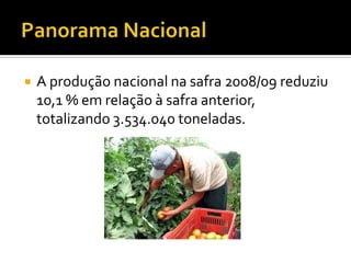 Panorama NacionalA produção nacional na safra 2008/09 reduziu 10,1 % em relação à safra anterior, totalizando 3.534.040 toneladas.