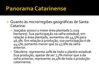Panorama CatarinenseQuanto às microrregiões geográficas de Santa Catarina: Joaçaba: possui a maior área plantada (1.029 hectares). Sua participação na safra estadual, em relação à área plantada, aumentou de 44,5% para 46,3%. Em relação à produção, sua participação é de 44,4%, portanto menor que os 47,6% da safra anterior. Tabuleiro: representa 20% de todo o plantio estadual. Sua produção, apesar de ser 7,7% menor que a da safra anterior, representa 20,4% de toda a produção catarinense.