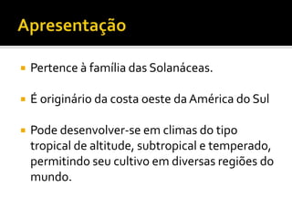 ApresentaçãoPertence à família das Solanáceas.É originário da costa oeste da América do Sul Pode desenvolver-se em climas do tipo tropical de altitude, subtropical e temperado, permitindo seu cultivo em diversas regiões do mundo.