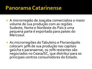 Panorama CatarinenseA microrregião de Joaçaba comercializa o maior volume de sua produção com as regiões Sudeste, Norte e Nordeste do País e uma pequena parte é exportada para países do Mercosul.As microrregiões do Tabuleiro e Florianópolis colocam 30% de sua produção nas capitais gaúcha e paranaense, os 70% restantes são negociados no Ceasa/SC, que distribui para os principais centros consumidores do Estado.