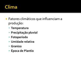 ClimaFatores climáticos que influenciam a produção:TemperaturaPrecipitação pluvialFotoperíodoUmidade relativaGranizoÉpoca de Plantio