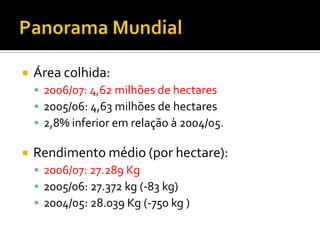 Panorama MundialÁrea colhida: 2006/07: 4,62 milhões de hectares2005/06: 4,63 milhões de hectares2,8% inferior em relação à 2004/05.Rendimento médio (por hectare):2006/07: 27.289 Kg2005/06: 27.372 kg (-83 kg)2004/05: 28.039 Kg (-750 kg )