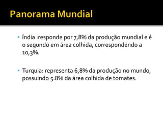 Panorama MundialÍndia :responde por 7,8% da produção mundial e é o segundo em área colhida, correspondendo a 10,3%.Turquia: representa 6,8% da produção no mundo, possuindo 5.8% da área colhida de tomates.