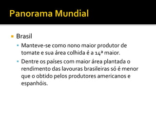 Panorama MundialBrasilManteve-se como nono maior produtor de tomate e sua área colhida é a 14ª maior. Dentre os países com maior área plantada o rendimento das lavouras brasileiras só é menor que o obtido pelos produtores americanos e espanhóis.