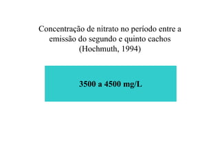 Concentração de nitrato no período entre a
emissão do segundo e quinto cachos
(Hochmuth, 1994)
3500 a 4500 mg/L
 