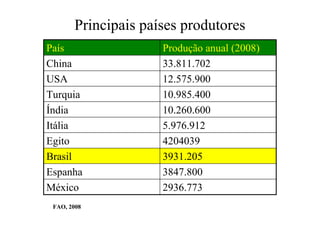 Principais países produtores
2936.773México
3847.800Espanha
3931.205Brasil
4204039Egito
5.976.912Itália
10.260.600Índia
10.985.400Turquia
12.575.900USA
33.811.702China
Produção anual (2008)País
FAO, 2008
 