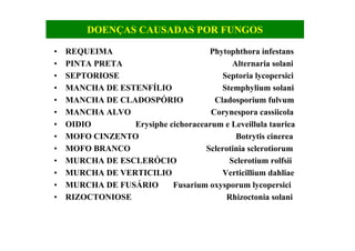 DOENÇAS CAUSADAS POR FUNGOS
• REQUEIMA Phytophthora infestans
• PINTA PRETA Alternaria solani
• SEPTORIOSE Septoria lycopersici
• MANCHA DE ESTENFÍLIO Stemphylium solani
• MANCHA DE CLADOSPÓRIO Cladosporium fulvum
• MANCHA ALVO Corynespora cassiicola
• OIDIO Erysiphe cichoracearum e Leveillula taurica
• MOFO CINZENTO Botrytis cinerea
• MOFO BRANCO Sclerotinia sclerotiorum
• MURCHA DE ESCLERÓCIO Sclerotium rolfsii
• MURCHA DE VERTICILIO Verticillium dahliae
• MURCHA DE FUSÁRIO Fusarium oxysporum lycopersici
• RIZOCTONIOSE Rhizoctonia solani
 