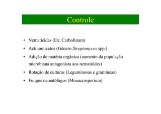 Controle
• Nematicidas (Ex: Carbofuram)
• Actinomicetos (Gênero Streptomyces spp.)
• Adição de matéria orgânica (aumento da população
microbiana antagonista aos nematóides)
• Rotação de culturas (Leguminosas e gramíneas)
• Fungos nematófagos (Monacrosporium)
 