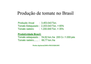 Produção de tomate no Brasil
 