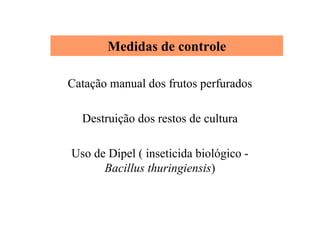 Medidas de controle
Catação manual dos frutos perfurados
Destruição dos restos de cultura
Uso de Dipel ( inseticida biológico -
Bacillus thuringiensis)
 