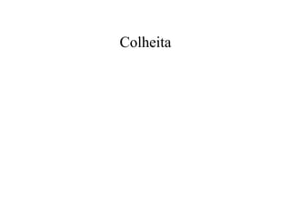 Colheita
 