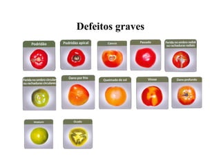 Defeitos graves
 