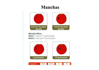Manchas
 