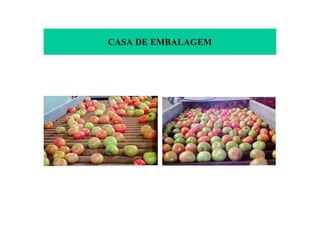CASA DE EMBALAGEM
 