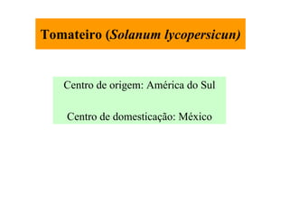 Tomateiro (Solanum lycopersicun)
Centro de origem: América do Sul
Centro de domesticação: México
 