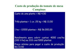 Custo de produção do tomate de mesa
Campinas
Custo de uma planta = R$ 4,50Custo de uma planta = R$ 4,50
Três plantas = 1 cx. 25 kg = R$ 13,50Três plantas = 1 cx. 25 kg = R$ 13,50
1 ha = 12000 plantas = R$ 56.000,001 ha = 12000 plantas = R$ 56.000,00
Rendimento para cobrir custos: 4000Rendimento para cobrir custos: 4000 cxscxs/ha/ha
(100 t/ha) ou 333(100 t/ha) ou 333 cxscxs/1000 plantas/1000 plantas
PrePreçço mo míínimo para pagar o custo de produnimo para pagar o custo de produçção:ão:
RS 13,50RS 13,50
 