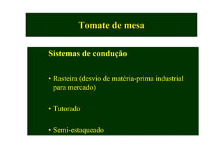Tomate de mesaTomate de mesa
Sistemas de condução
• Rasteira (desvio de matéria-prima industrial
para mercado)
• Tutorado
• Semi-estaqueado
 