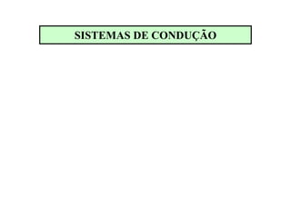 SISTEMAS DE CONDUÇÃO
 