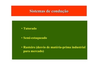 Sistemas de conduSistemas de conduççãoão
• Tutorado
• Semi-estaqueado
• Rasteiro (desvio de matéria-prima industrial
para mercado)
 