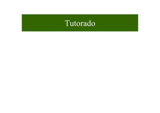 Tutorado
 