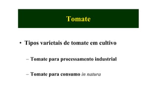 TomateTomate
• Tipos varietais de tomate em cultivo
– Tomate para processamento industrial
– Tomate para consumo in natura
 