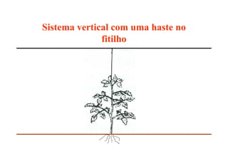 Sistema vertical com uma haste no
fitilho
 
