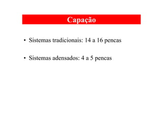 Capação
• Sistemas tradicionais: 14 a 16 pencas
• Sistemas adensados: 4 a 5 pencas
 
