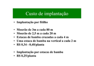 Custo de implantação
• Implantação por fitilho
• Mourão de 3m a cada 80 m
• Mourão de 2,5 m a cada 20 m
• Estacas de bambu cruzadas a cada 4 m
• Uma estaca de bambu na vertical a cada 2 m
• R$ 0,34 - 0,40/planta
• Implantação por estacas de bambu
• R$ 0,25/planta
 