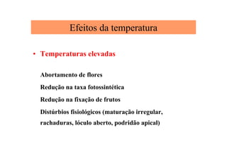Efeitos da temperatura
• Temperaturas elevadas
Abortamento de flores
Redução na taxa fotossintética
Redução na fixação de frutos
Distúrbios fisiológicos (maturação irregular,
rachaduras, lóculo aberto, podridão apical)
 