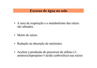 Excesso de água no solo
• A taxa de respiração e o metabolismo das raízes
são afetados.
• Morte de raízes
• Redução na absorção de nutrientes
• Acelera a produção do precursor de etileno (1-
aminociclopropano-1-ácido carboxílico) nas raízes
 