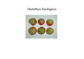 Distúrbios fisiológicos
 