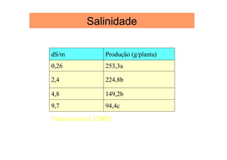 Salinidade
94,4c9,7
149,2b4,8
224,8b2,4
253,3a0,26
Produção (g/planta)dS/m
Yurtseven et al. (2005)
 