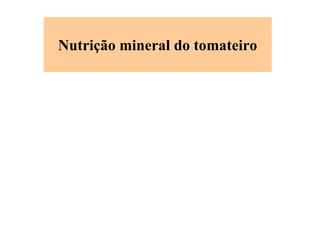 Nutrição mineral do tomateiro
 