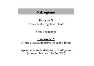 Nitrogênio
Falta de N
Crescimento vegetativo lento
Frutos pequenos
Excesso de N
Altura elevada do primeiro cacho floral
Aparecimento de distúrbios fisiológicos
(desequilíbrio na relação N/K)
 