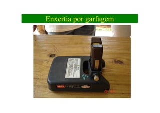 Enxertia por garfagem
 