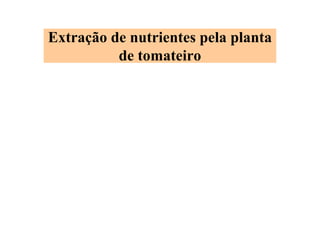 Extração de nutrientes pela planta
de tomateiro
 