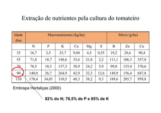 Extração de nutrientes pela cultura do tomateiro
959,8285,7189,69,338,248,3310,534,03170,4110
687,8156,4149,912,632,342,9264,926,7140,090
370,6153,499,05,924,238,9137,318,378,570
357,8106,3111,12,221,835,6148,618,771,855
90,428,619,20,554,59,0425,72,516,735
CuZnBSMgCaKPN
Micro (g/ha)Macronutrientes (kg/ha)Idade
dias
Embrapa Hortaliças (2000)
82% do N; 78,5% de P e 85% de K
 