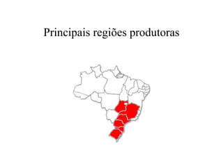 Principais regiões produtoras
 